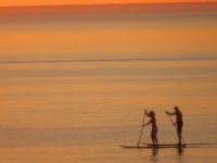 How Paddle Boarding Can Teach Patience and Align Your Chakras