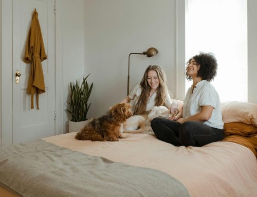 The Influence of Pets on Human Mental Health: Psychological Benefits and Mechanisms of the Human-Animal Bond