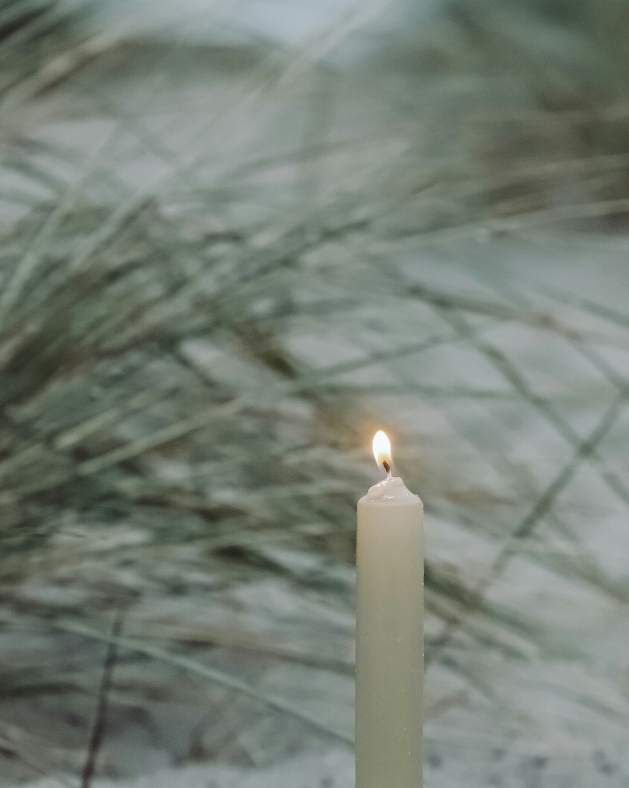 Trauma Therapy and Counseling